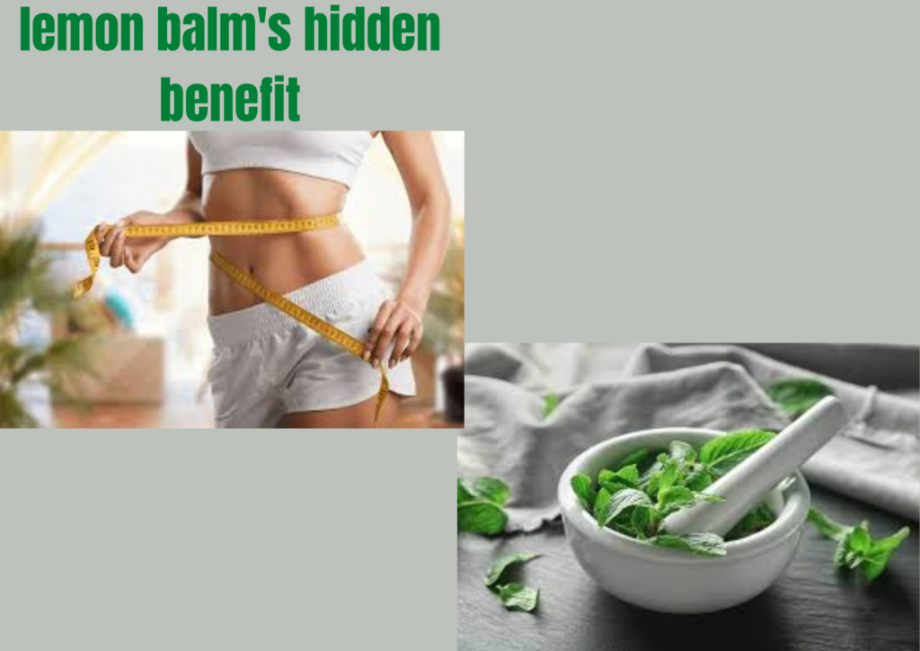 lemon balm's hidden benefit