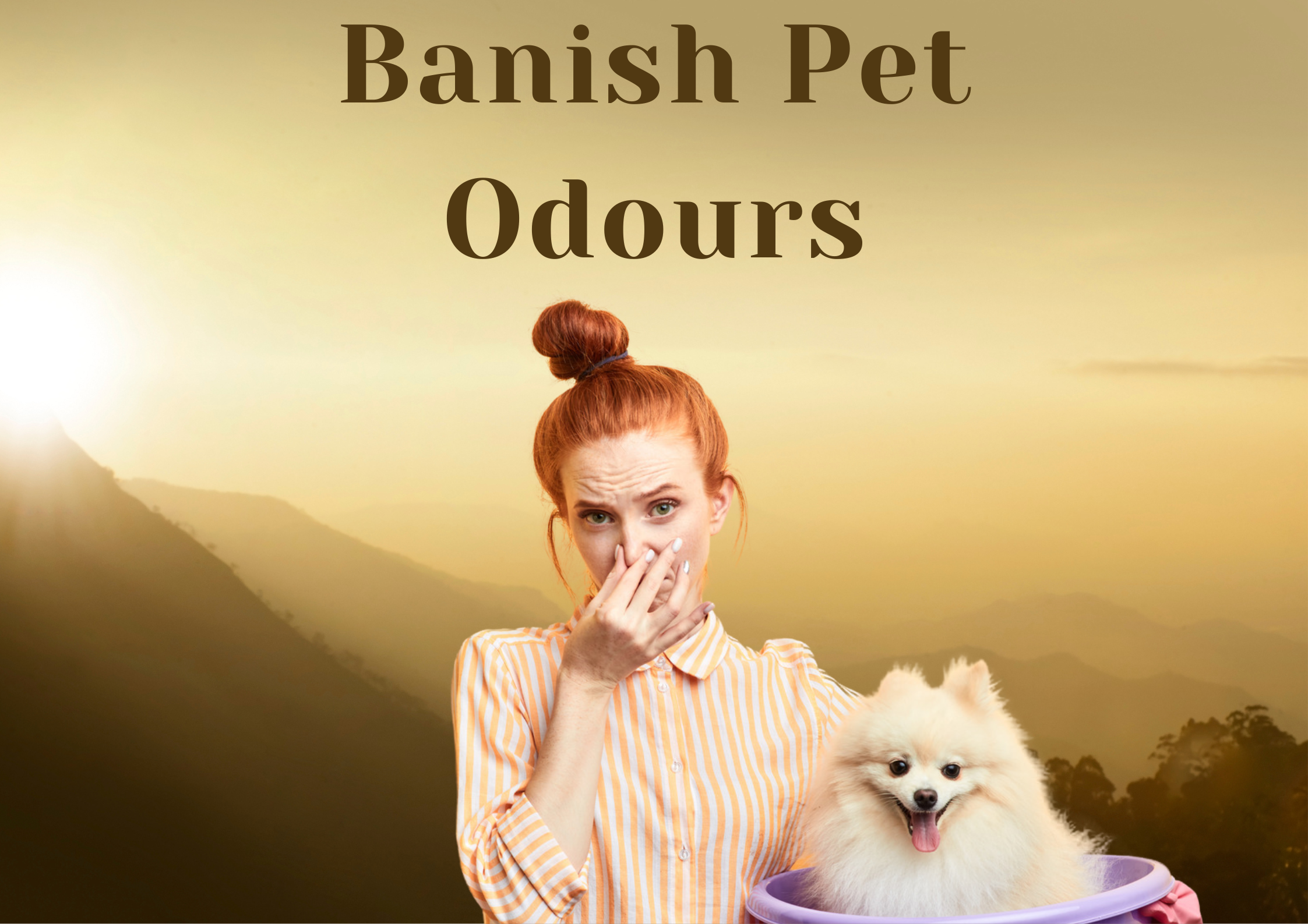 “Banish Pet Odors for Good: Expert Tips and Tricks”