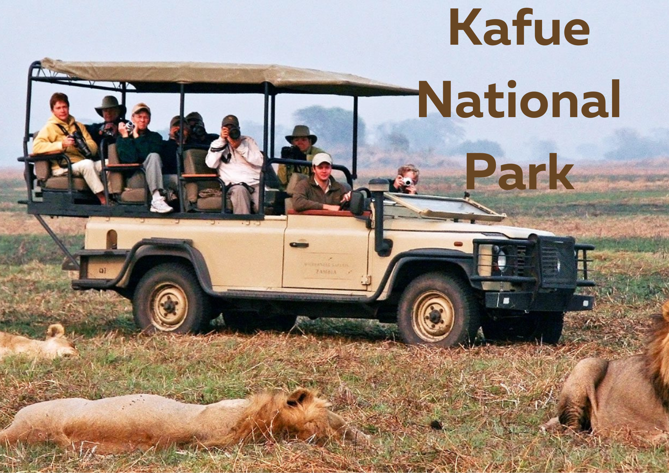 “Unlock the Secrets of Kafue National Park: Zambia’s Hidden Jewel”