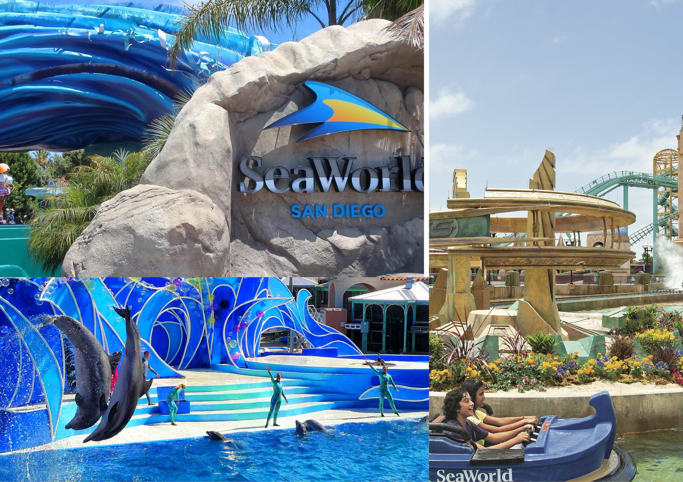 “Marine Magic or Tourist Trap? Deciphering SeaWorld San Diego Reviews”