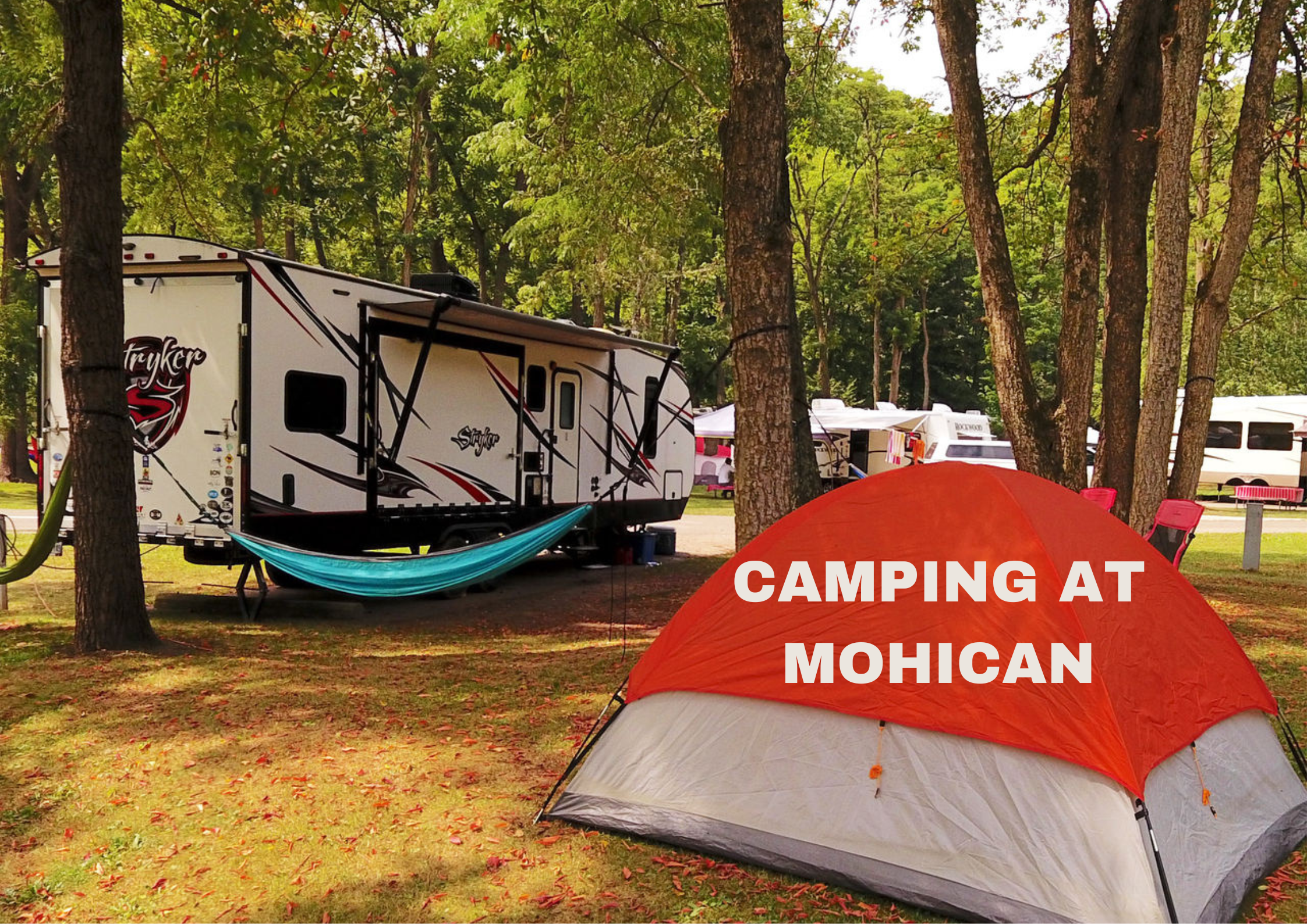 Adventure Awaits: All You Need to Know About Camping at Mohican