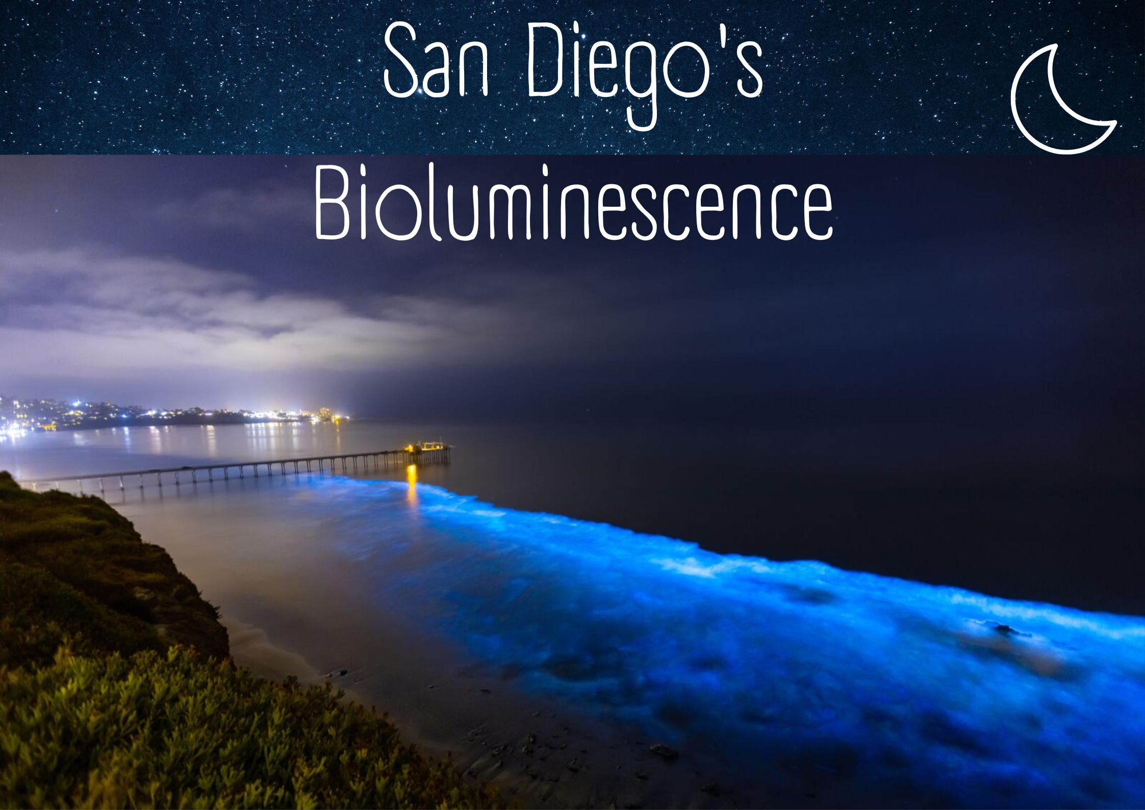 “Oceanic Glow: The Best Spots to Witness San Diego’s Bioluminescence”