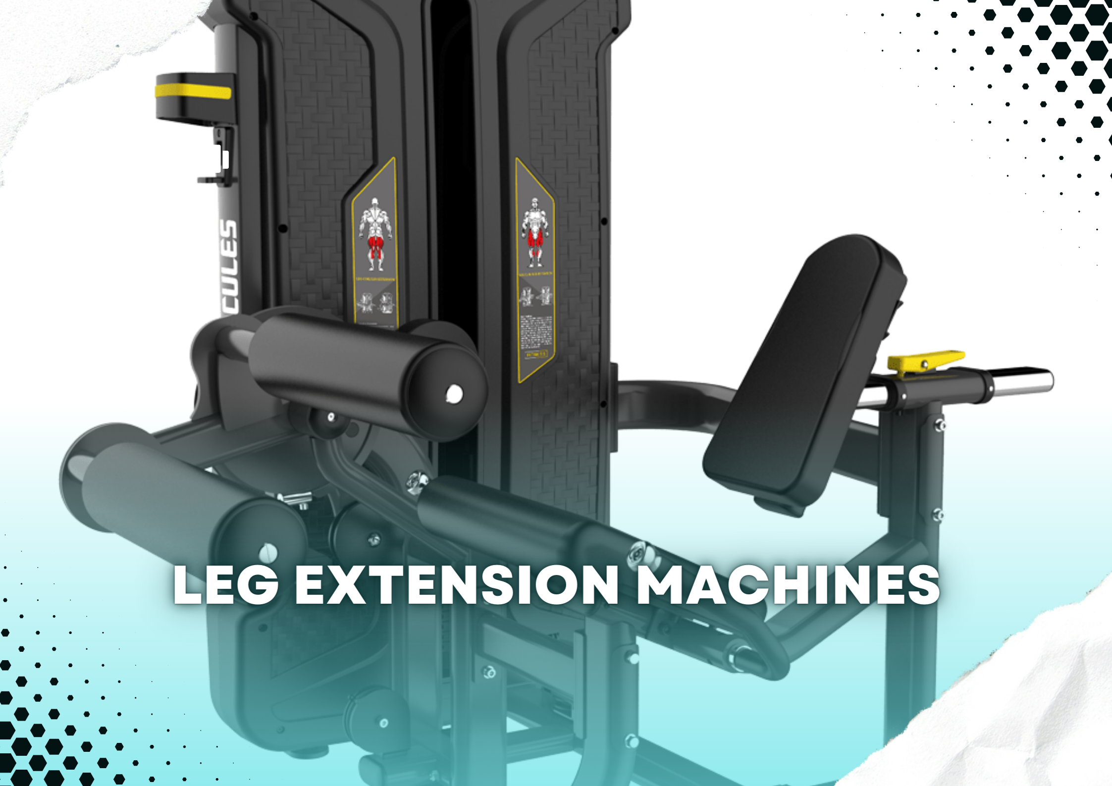 “The Ultimate Guide to Leg Extension Machines: Form, Function, and Fitness”