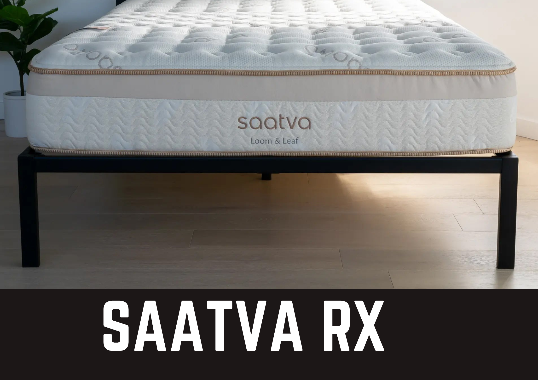 Saatva Rx