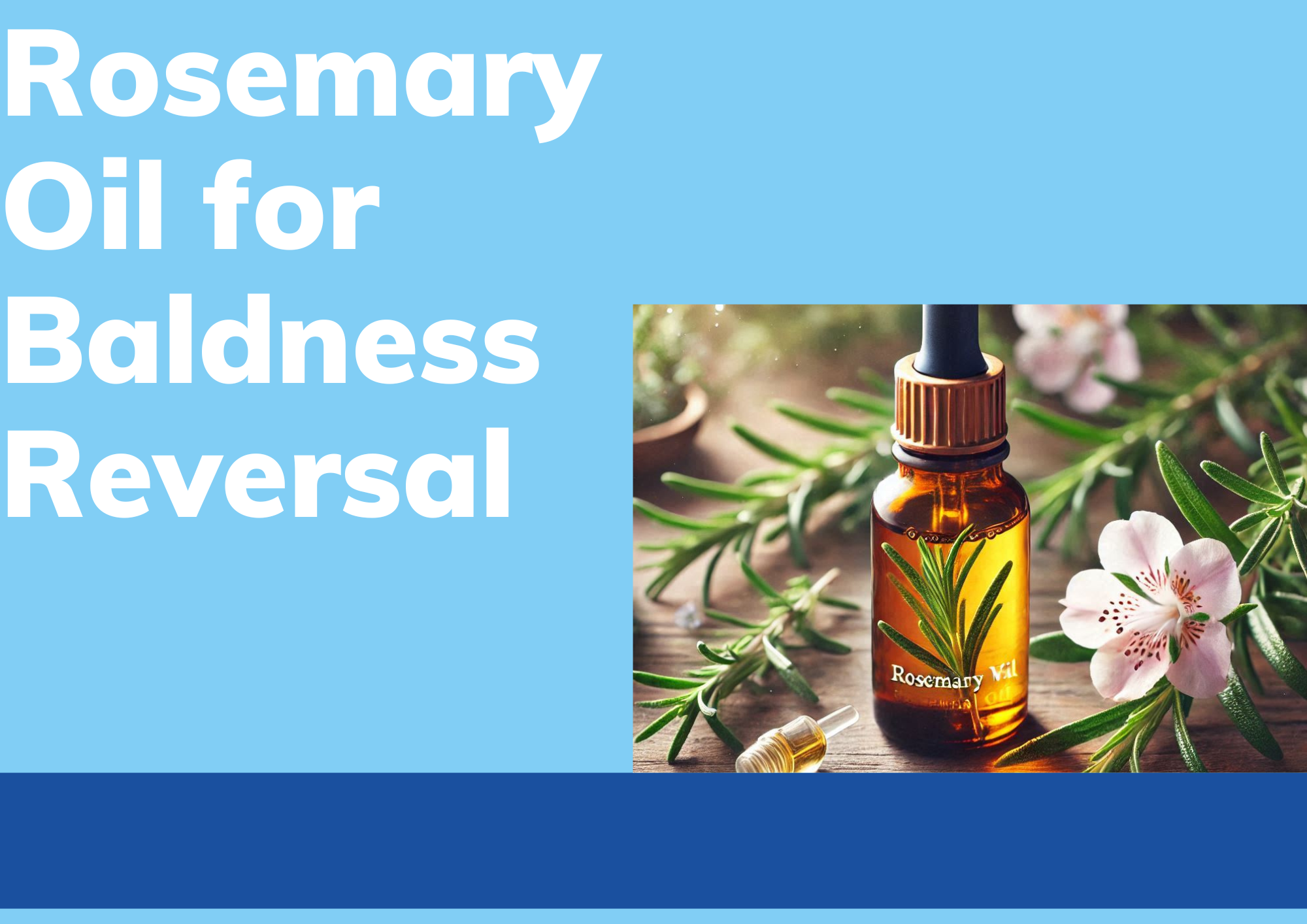 Rosemary Oil for Baldness Reversal