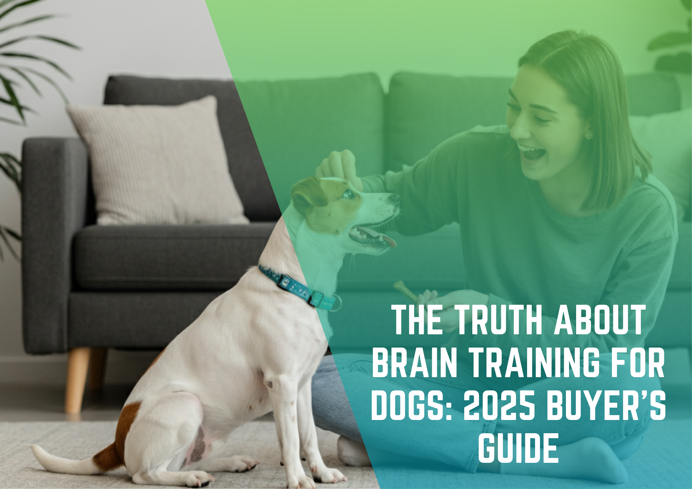 Brain Training for Dogs